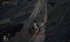 《艾尔登法环》前期开荒路线与战斗准备