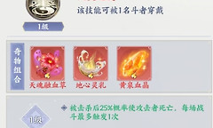 《斗破苍穹》奇物组合选择与斗者佩戴顺序